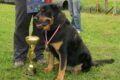 I Treningowe Zawody Obedience - Gliwice 2012